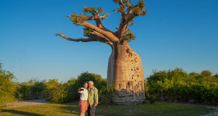 Älteres Paar, das ein Selfie vor einem riesigen Baobab-Baum unter klarem blauem Himmel macht.