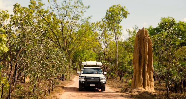 Ein 4x4-Fahrzeug fährt auf einer Feldweg-Piste durch Eukalyptuswald an einem imposanten Termitenhügel vorbei.