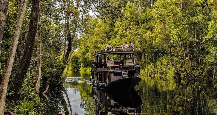 Crucero en una casa flotante de madera navegando por las vías fluviales de la densa selva verde en Tanjung Puting.
