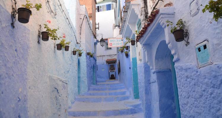 Une ruelle étroite peinte dans différentes nuances de bleu avec des plantes en pot suspendues aux murs dans une médina en pente.
