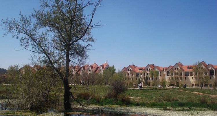 Des immeubles d'appartements de style alpin moderne aux toits rouges bordent une zone humide herbeuse avec un arbre solitaire au premier plan.