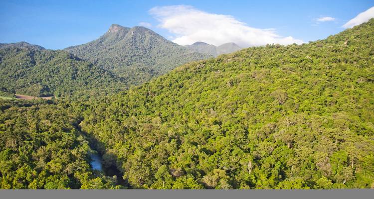 Üppig grüne Berge und dichtes Regenwaldblätterdach erstrecken sich unter einem klaren blauen Himmel in der Region Daintree.