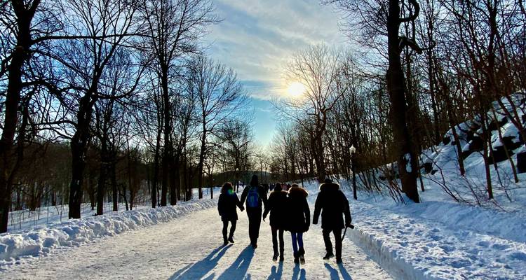 Caminantes cubiertos de ropa de abrigo caminan por un sendero forestal nevado bajo la luz solar invernal que proyecta largas sombras.