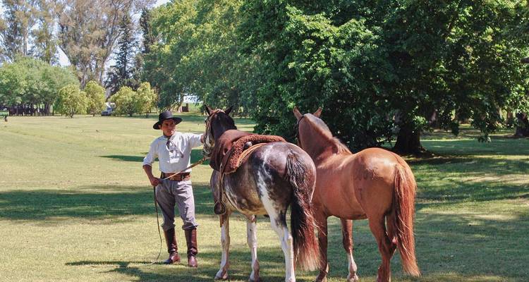 Een gaucho in traditionele kledij staat naast twee gezadelde paarden op een open grasvlakte in de schaduw van hoge bomen.