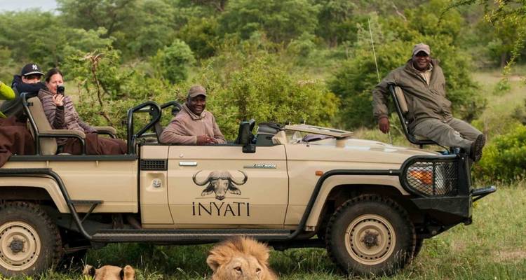 Les clients en safari observant un lion mâle au repos dans l'herbe depuis un jeep ouvert
