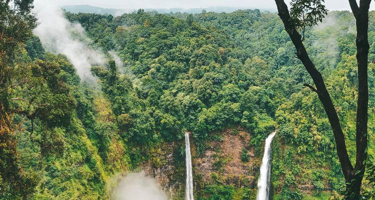 Dos altas cataratas que se despeñan en un cañón selvático brumoso rodeado de exuberante selva tropical