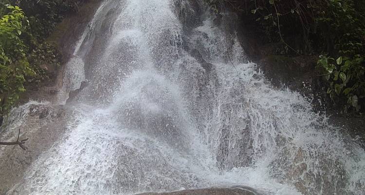 Primer plano de una pequeña cascada de la selva cayendo sobre las rocas
