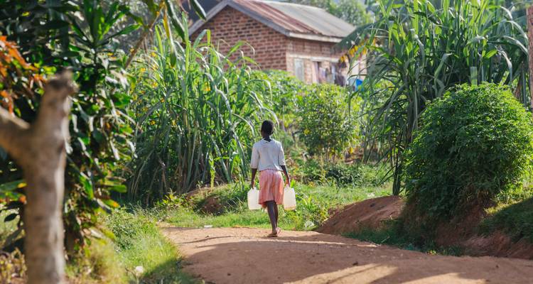 Une jeune fille portant des bidons d'eau le long d'un chemin de terre à travers les jardins verdoyants du village en Ouganda rural.