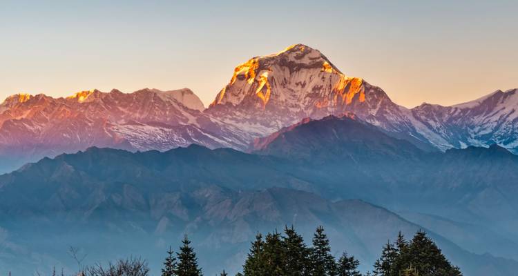 Sun-kissed summit of Dhaulagiri rises dramatically above layered Himalayan ridges.