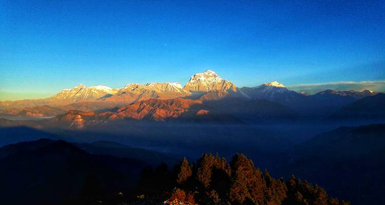 Sunrise light bathes the snow-covered Dhaulagiri range while layers of mist fill the Himalayan valleys below.