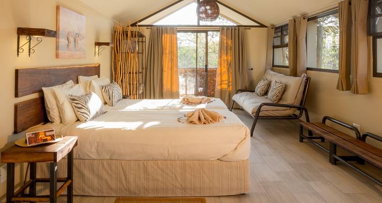 Chambre de lodge lumineuse et élégante avec lits jumeaux, décoration neutre et grandes fenêtres donnant sur les arbres.