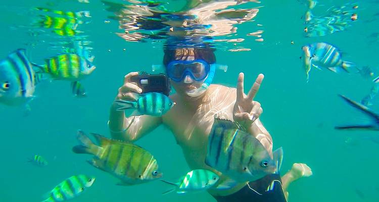 Buceador tomando una selfie submarina rodeado de peces tropicales coloridos haciendo el signo de la paz.