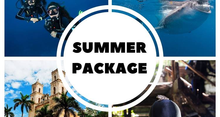 Vierpanelige promotiecollage met duikers, een walvishaai, een koloniale kerk en een ondergrondse cenote-verkenner met vetgedrukte tekst met "SUMMER PACKAGE" in het midden.
