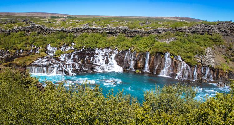 Wide view of Hraunfossar waterfalls flowing into bright blue river amid lava rocks