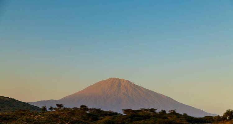 Pic volcanique isolé brillant à la lumière douce du matin au-dessus des acacias en Tanzanie.