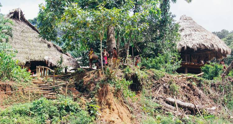 Ladera de la selva con cabañas de paja parcialmente ocultas entre árboles y plantas densas.