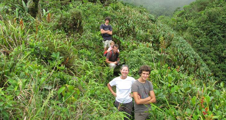 Cuatro excursionistas de pie en un paso de montaña de exuberante vegetación verde, rodeados de una densa vegetación.