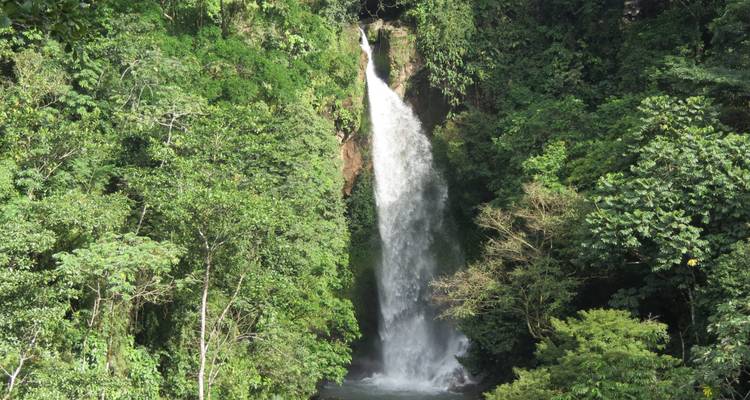 Una cascada alta y estrecha que se desploma en una garganta de la selva rodeada de frondosa vegetación verde.