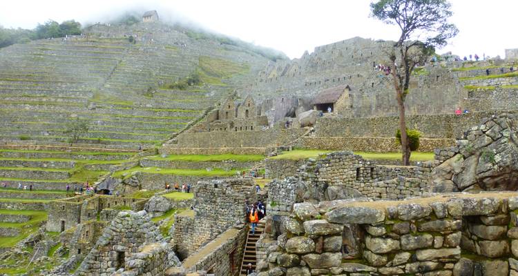 Structures de pierre en terrasses du Machu Picchu avec des touristes explorant le site ancien.
