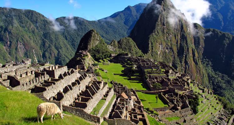 Vue iconique de carte postale du Machu Picchu avec le pic de Huayna Picchu s'élevant derrière les anciennes terrasses.