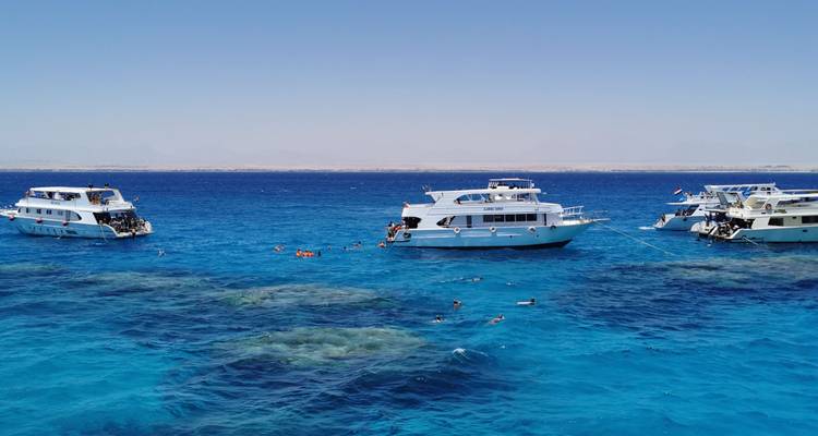 Des bateaux de plongée blancs jettent l'ancre sur les eaux bleu éclatant de la mer Rouge tandis que les plongeurs en apnée explorent les récifs coralliens en dessous.