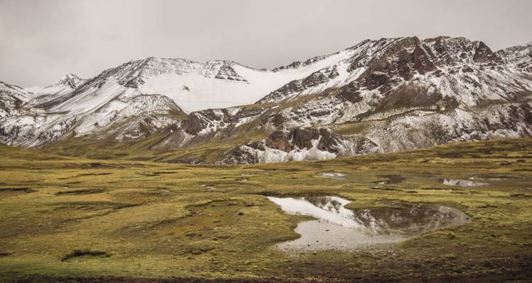 High Andean plateau with shallow ponds and snow-streaked mountains beneath overcast skies.