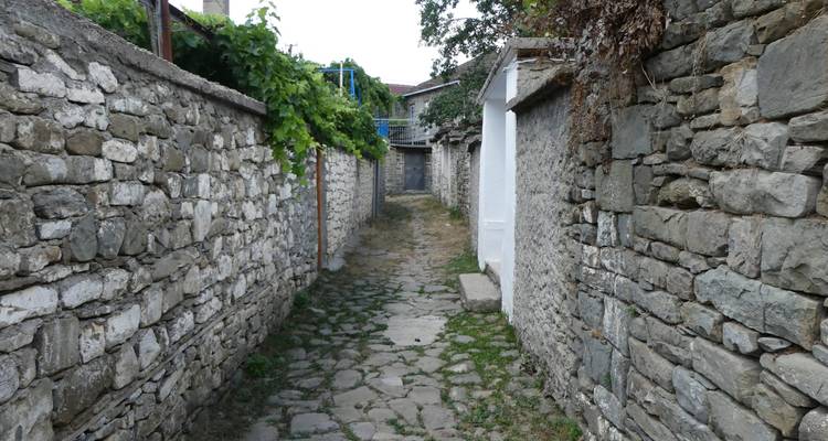 Ruelle étroite pavée de pierres entre de hauts murs de pierre rustiques couverts de verdure.