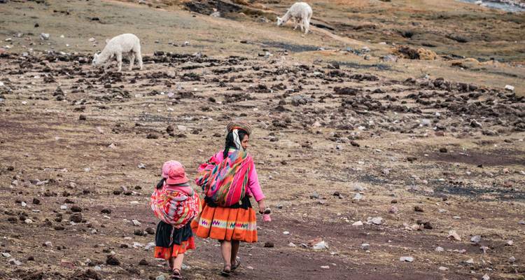 Madre e hijo en ropa tradicional de colores brillantes caminan a través de una llanura andina elevada con llamas pastando
