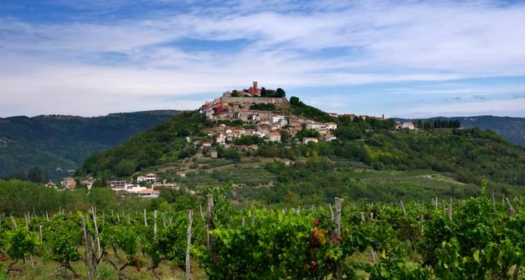 Ville médiévale de Motovun perchée sur une colline s'élevant au-dessus de vignobles ondulants sous un ciel partiellement nuageux.