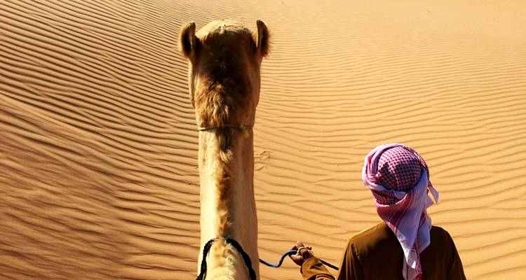 Camello y jinete atravesando las dunas onduladas doradas del desierto bajo la luz solar brillante.