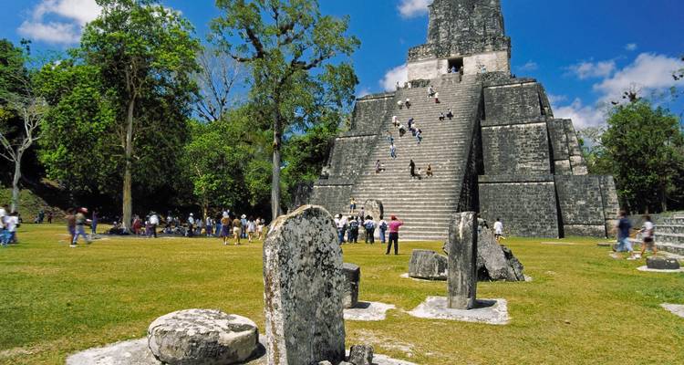Besucher erklimmen die steilen Steinstufen einer antiken Maya-Pyramide, die von Dschungel umgeben ist.