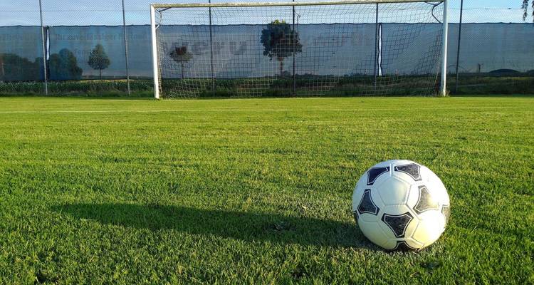 Voetbal die op een groen grasveld voor een leeg doel ligt