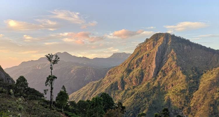 Ruwe groene bergen van Sri Lanka's berggebied baad in het licht van de late middag.