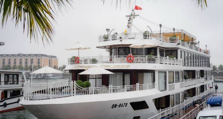 Close-up van luxe cruiseschip aangemeerd aan de pier van Halong Bay, omlijst door palmbladeren op een grijze dag.