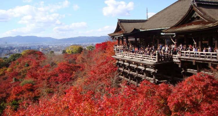 Holzveranda des Kiyomizu-dera mit Blick auf ein Tal mit leuchtendem roten Herbstlaub und vielen Besuchern