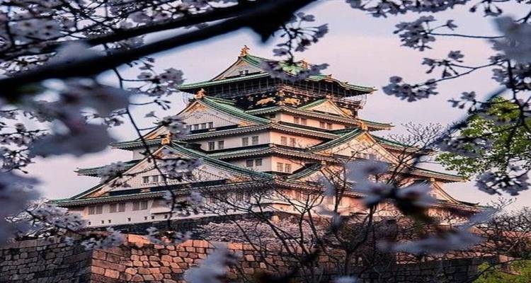 Osaka-Schloss umrahmt von zarten Kirschblüten vor einem pastellfarbenen Himmel