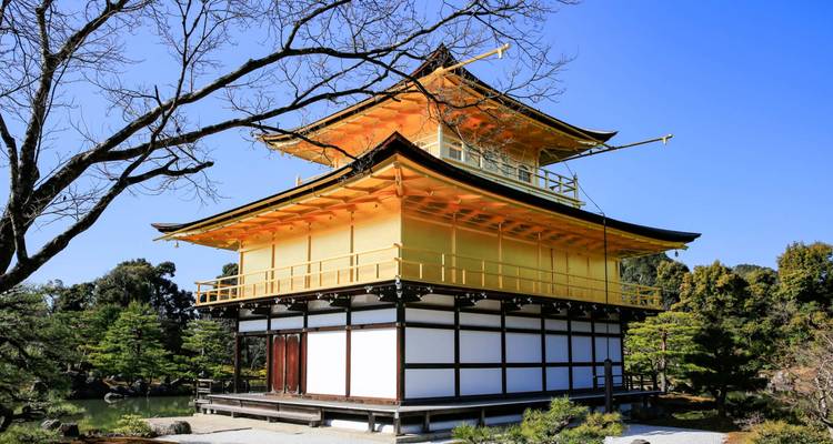 De gouden Kinkaku-ji paviljoen weerspiegelt zonlicht tussen verzorgde bomen onder een heldere blauwe hemel.