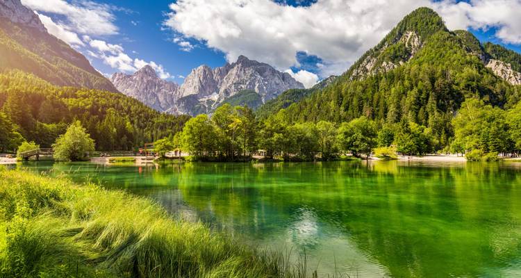Lac alpin d'une clarté cristalline bordé de roseaux avec les impressionnantes Alpes Juliennes s'élevant sous des nuages cotonneux.