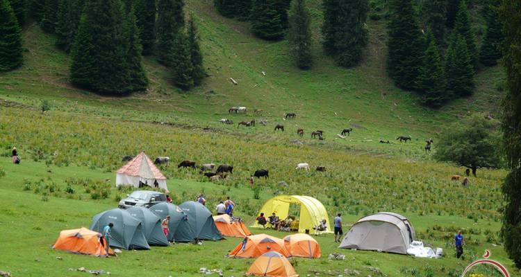 Großer Campingplatz mit mehreren farbenfrohen Zelten, Menschen, Pferden und einem Geländewagen in einer breiten grünen Bergwiese.