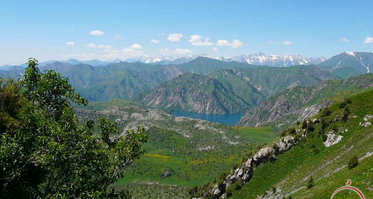 Panorama expansivo de montañas verdes, un lago distante y cordilleras nevadas bajo un cielo azul despejado.