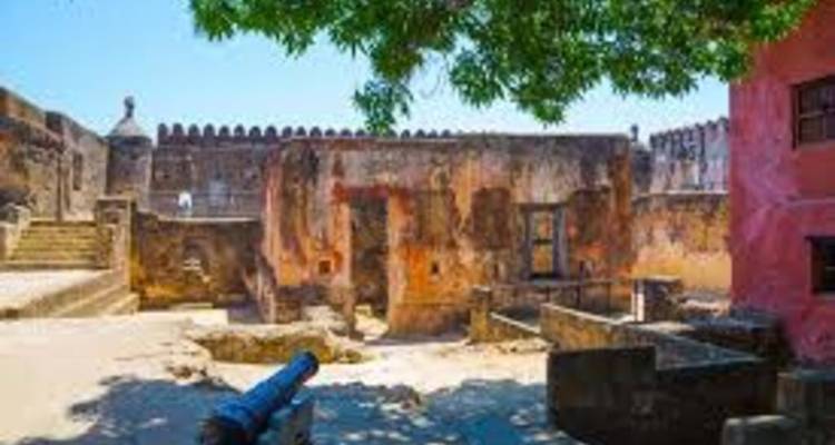 Courtyard inside an old coastal fort shaded by a broad tree and lined with cannons.