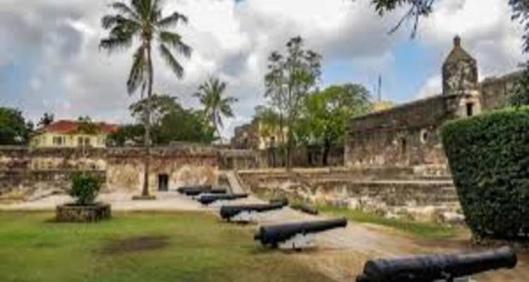Grassy parade ground lined with old black cannons inside Fort Jesus with palm trees overhead.