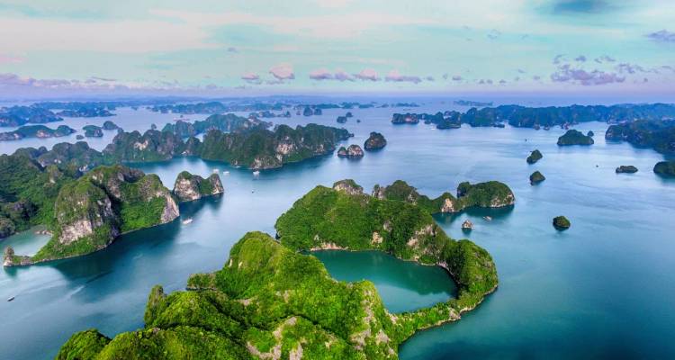 Grüne Kalksteininseln zerstreuen sich über die jadegrünen Gewässer der Halong-Bucht aus der Vogelperspektive betrachtet.