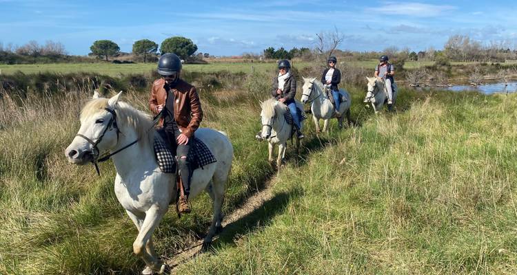 Ruiters op witte paarden volgen een groen pad door moerasland onder een blauwe lucht