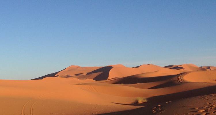 Enormes dunas de arena dorada bajo un cielo azul cristalino en el desierto