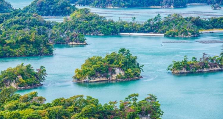 Turquoise baai bezaaid met kleine eilandjes bedekt met dennen onder een felblauwe hemel bij Matsushima.
