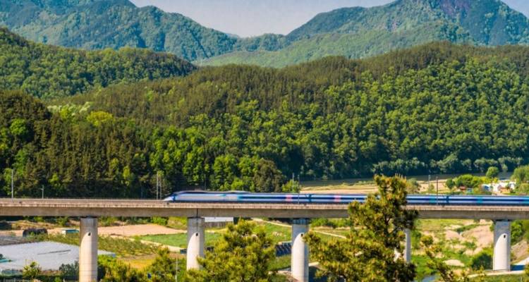 Hogesnelheidstrein die een lange brug oversteekt met beboste bergen op de achtergrond.