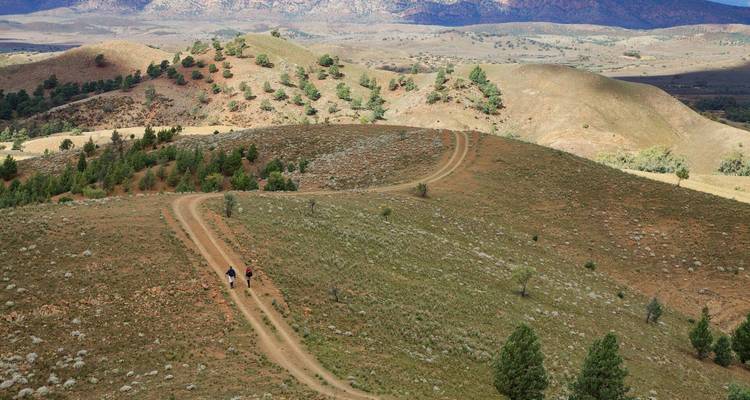 Vista aérea de senderistas en un sinuoso camino de tierra a través de colinas ondulantes semiáridas