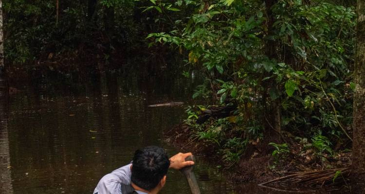 Le guide fait avancer un canoë à la pagaie dans un chenal de forêt tropicale inondée et sombre, entouré d'une végétation dense.