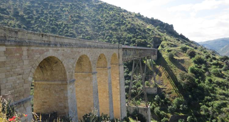Viaducto de ferrocarril de piedra que atraviesa un pronunciado valle verde en la región del Douro